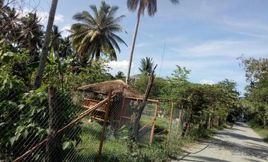 832 sqm Lot For Sale in Tagum City, Davao walking distance to Robinson Mall