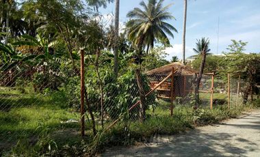 832 sqm Lot For Sale in Tagum City, Davao walking distance to Robinson Mall