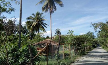 832 sqm Lot For Sale in Tagum City, Davao walking distance to Robinson Mall