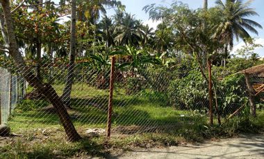 832 sqm Lot For Sale in Tagum City, Davao walking distance to Robinson Mall