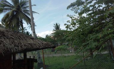 832 sqm Lot For Sale in Tagum City, Davao walking distance to Robinson Mall
