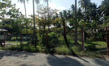 832 sqm Lot For Sale in Tagum City, Davao walking distance to Robinson Mall