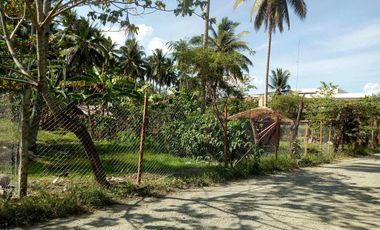832 sqm Lot For Sale in Tagum City, Davao walking distance to Robinson Mall