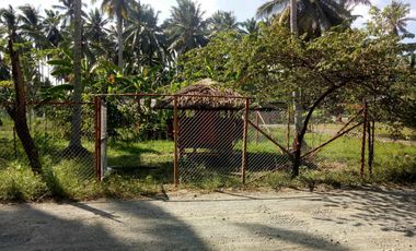 832 sqm Lot For Sale in Tagum City, Davao walking distance to Robinson Mall