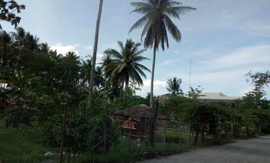 832 sqm Lot For Sale in Tagum City, Davao walking distance to Robinson Mall