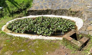 VENDE CENTRO EDUCATIVO  COMO TERRENO.  2,180 M2