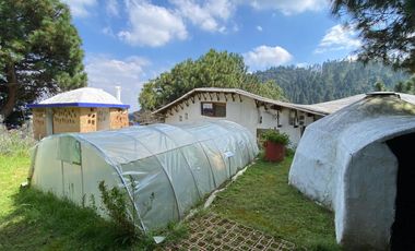 VENDE CENTRO EDUCATIVO  COMO TERRENO.  2,180 M2