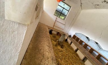 VENDE CENTRO EDUCATIVO  COMO TERRENO.  2,180 M2