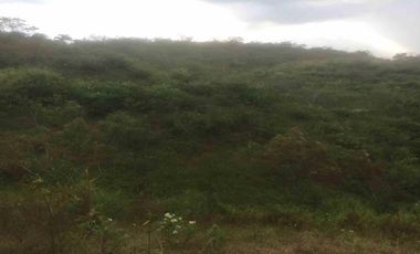 Vendo espectacular Lote en el Condominio La Carmelita