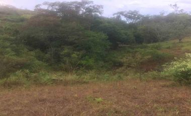 Vendo espectacular Lote en el Condominio La Carmelita