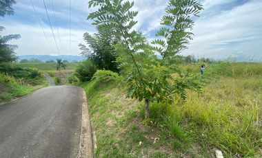 Vendo espectacular Lote en el Condominio La Carmelita