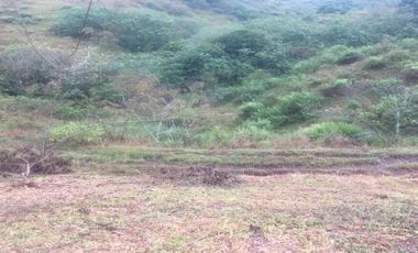 Vendo espectacular Lote en el Condominio La Carmelita