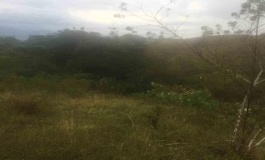 Vendo espectacular Lote en el Condominio La Carmelita