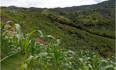 FINCA EN VENTA SAN VICENTE FERRER