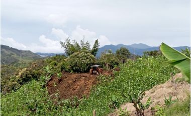 FINCA EN VENTA SAN VICENTE FERRER