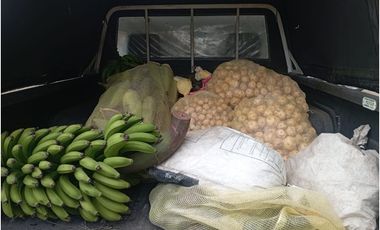 FINCA EN VENTA SAN VICENTE FERRER