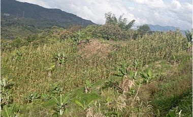 FINCA EN VENTA SAN VICENTE FERRER