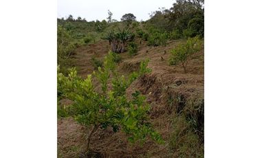 FINCA EN VENTA SAN VICENTE FERRER