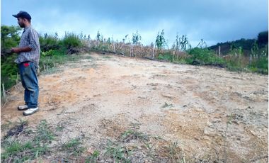 FINCA EN VENTA SAN VICENTE FERRER