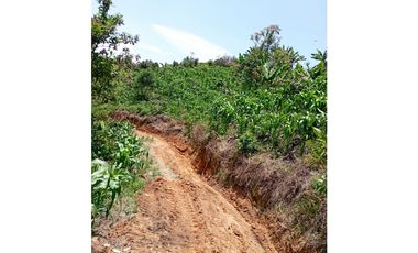 FINCA EN VENTA SAN VICENTE FERRER