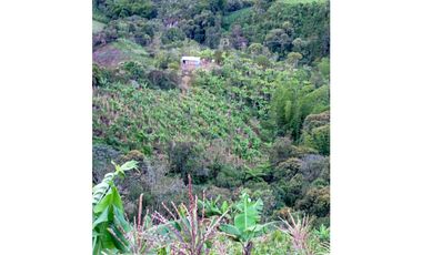 FINCA EN VENTA SAN VICENTE FERRER