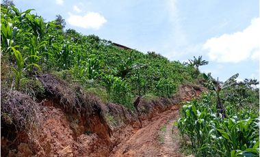 FINCA EN VENTA SAN VICENTE FERRER