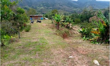 FINCA EN VENTA SAN VICENTE FERRER