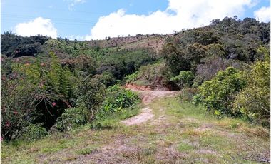 FINCA EN VENTA SAN VICENTE FERRER