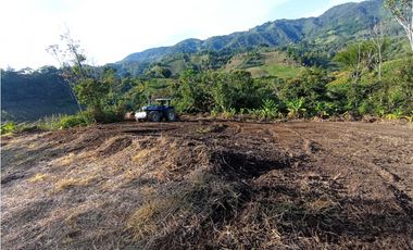 FINCA EN VENTA SAN VICENTE FERRER