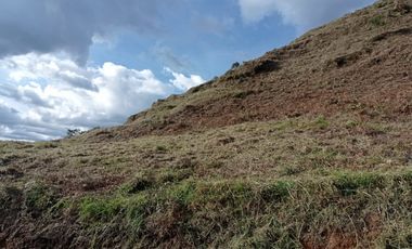 LOTE EN VENTA EN CALDAS, SECTOR LA MIEL