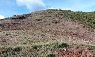 LOTE EN VENTA EN CALDAS, SECTOR LA MIEL