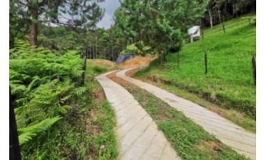 LOTE EN VENTA EN CALDAS, SECTOR LA MIEL