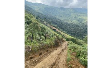 LOTE EN VENTA EN CALDAS, SECTOR LA MIEL