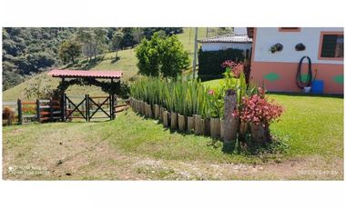 FINCA EN VENTA EN MONTEBELLO, ANTIOQUIA, VEREDA EL CAUNZAL