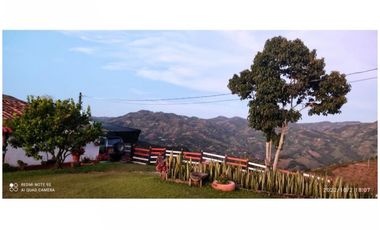 FINCA EN VENTA EN MONTEBELLO, ANTIOQUIA, VEREDA EL CAUNZAL