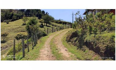 FINCA EN VENTA EN MONTEBELLO, ANTIOQUIA, VEREDA EL CAUNZAL