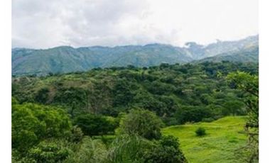 LOTE EN VENTA EN SAN JERÓNIMO