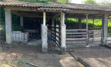 FINCA EN VENTA SAN JERÓNIMO, VEREDA PANTANILLO.