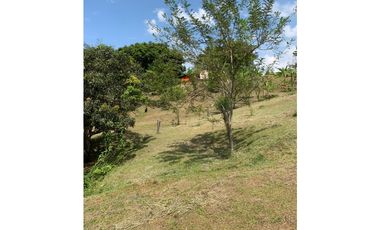 FINCA EN VENTA SAN JERÓNIMO, VEREDA PANTANILLO.