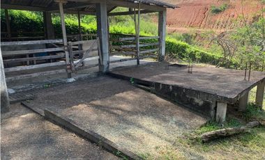FINCA EN VENTA SAN JERÓNIMO, VEREDA PANTANILLO.