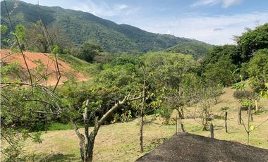 FINCA EN VENTA SAN JERÓNIMO, VEREDA PANTANILLO.