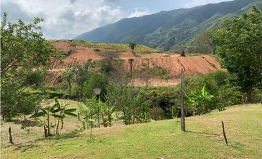FINCA EN VENTA SAN JERÓNIMO, VEREDA PANTANILLO.