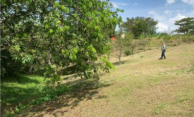 FINCA EN VENTA SAN JERÓNIMO, VEREDA PANTANILLO.