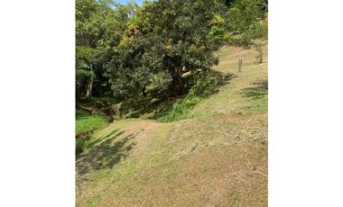 FINCA EN VENTA SAN JERÓNIMO, VEREDA PANTANILLO.