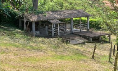 FINCA EN VENTA SAN JERÓNIMO, VEREDA PANTANILLO.