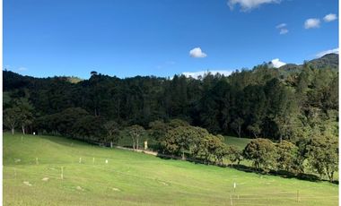 LOTE EN VENTA EN PARCELACIÓN EL RETIRO