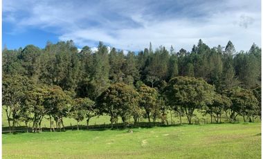 LOTE EN VENTA EN PARCELACIÓN EL RETIRO