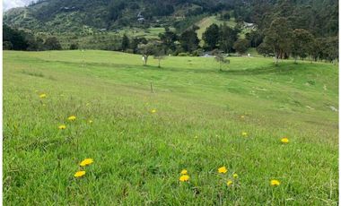 LOTE EN VENTA EN PARCELACIÓN EL RETIRO