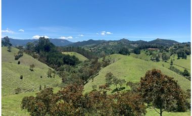 LOTE EN VENTA EN PARCELACIÓN EL RETIRO