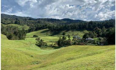 LOTE EN VENTA EN PARCELACIÓN EL RETIRO